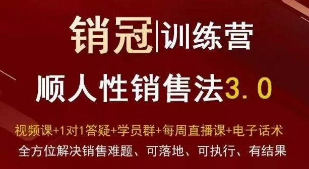 爆款！销冠训练营3.0之顺人性销售法，全方位解决销售难题、可落地、可执行、有结果-山河网创