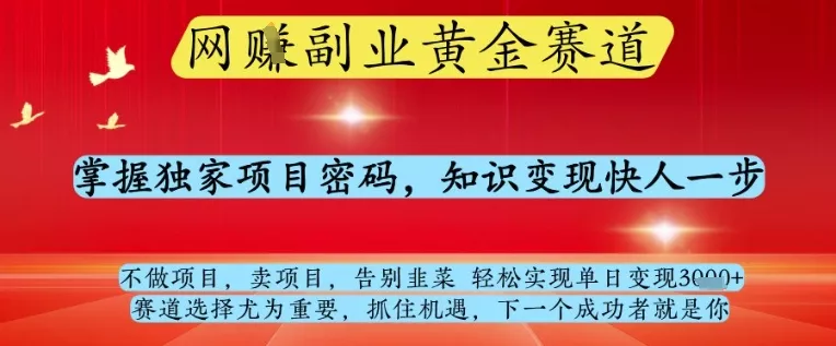网创副业黄全赛道，掌握独家项目密码，知识变现快人一步，告别韭菜轻松实现单日变现1k+【揭秘】-山河网创