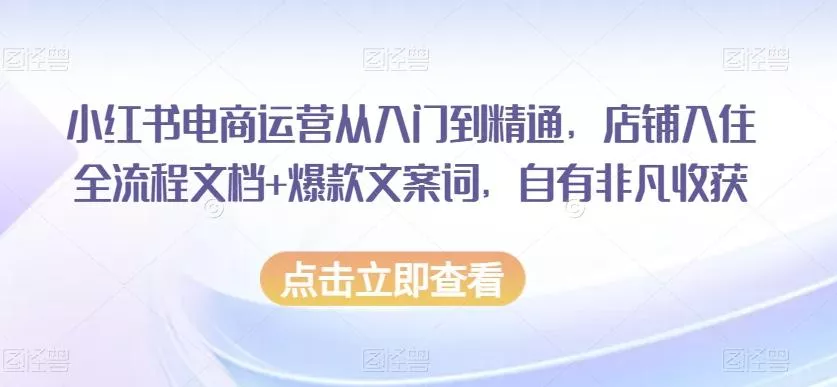 小红书电商运营从入门到精通，店铺入住全流程文档+爆款文案词，自有非凡收获-山河网创