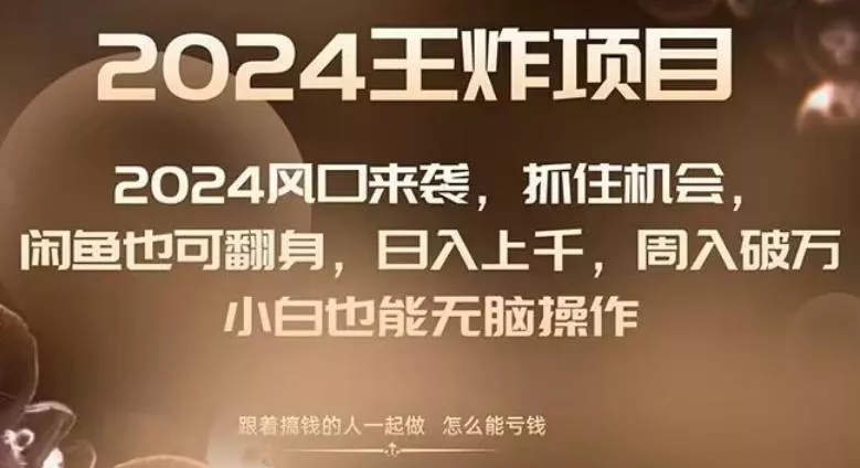 2024风口项目来袭，抓住机会，闲鱼也可翻身，日入上千，周入破万，小白也能无脑操作-山河网创