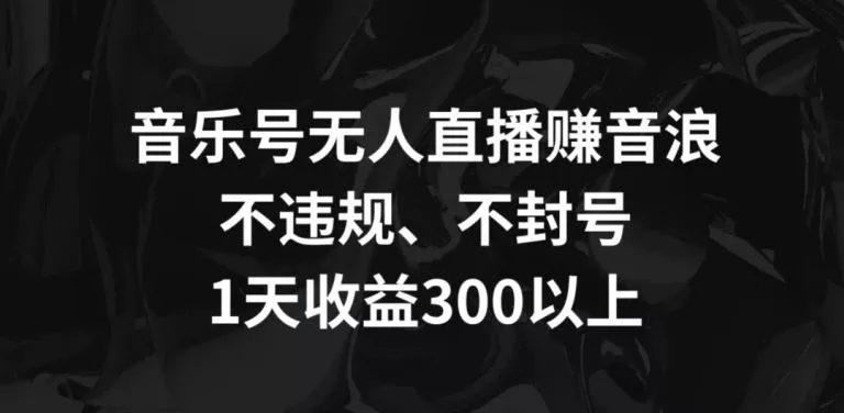 音乐号无人直播赚音浪，不违规、不封号，1天收益300+【揭秘】-山河网创
