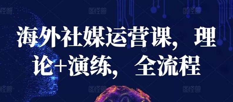 海外社媒运营课，理论+演练，全流程-山河网创