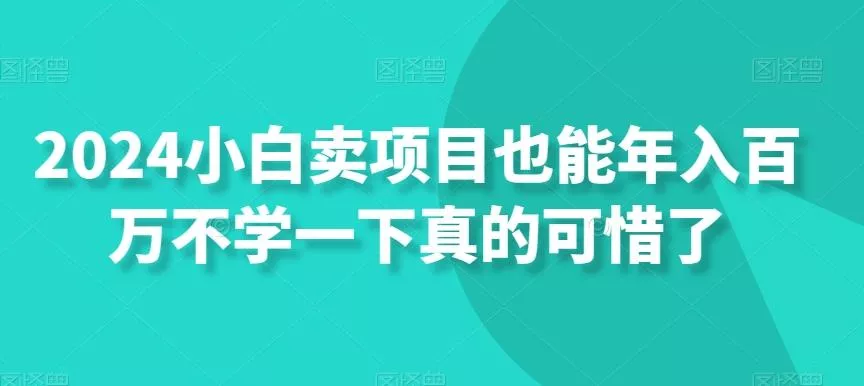 2024小白卖项目也能年入百万不学一下真的可惜了-山河网创