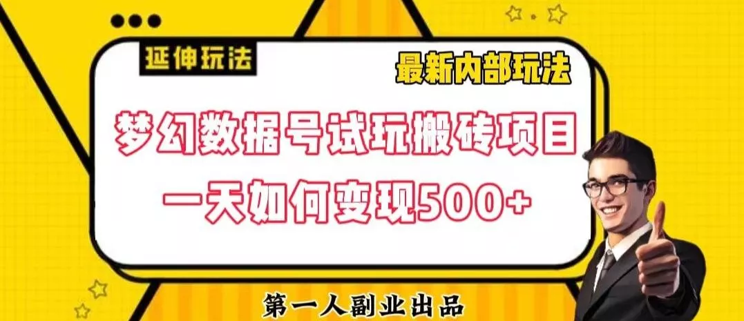 数据号回归玩法游戏试玩搬砖项目再创日入500+【揭秘】-山河网创