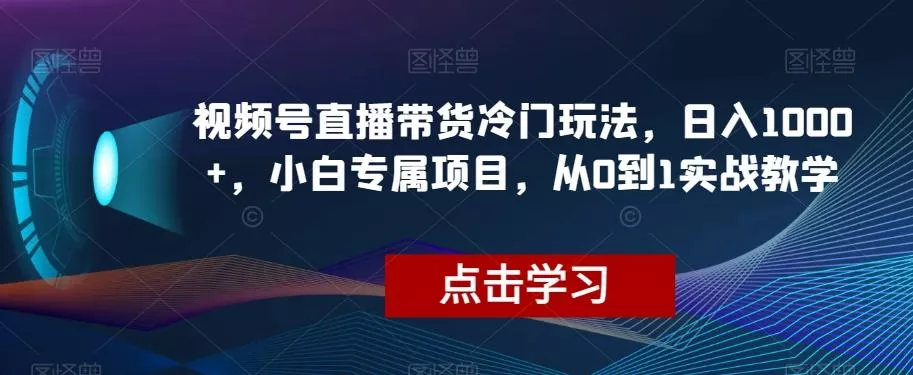 视频号直播带货冷门玩法，日入1000+，小白专属项目，从0到1实战教学【揭秘】-山河网创