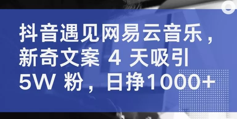 抖音遇见网易云音乐，新奇文案 4 天吸引 5W 粉，日挣1000+【揭秘】-山河网创