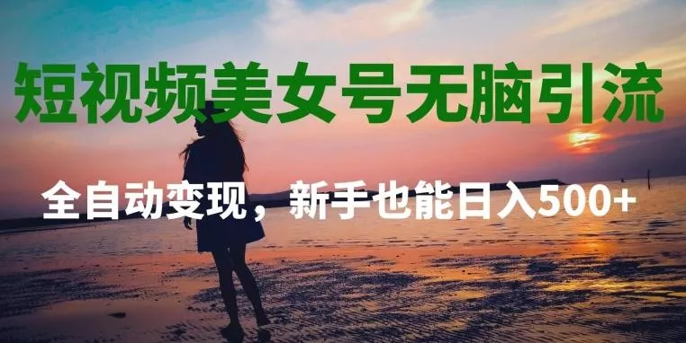 短视频美女号无脑引流，全自动变现，新手也能日入500+-山河网创