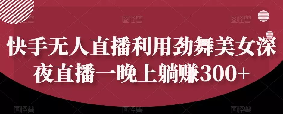 快手无人直播利用劲舞美女深夜直播一晚上躺赚300+-山河网创