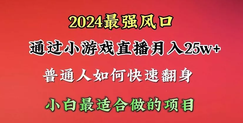 (10020期)2024年最强风口，通过小游戏直播月入25w+单日收益5000+小白最适合做的项目-山河网创