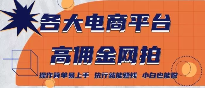 各大电商平台高佣金网拍，操作简单易上手，执行就能赚钱，小白也能做-山河网创