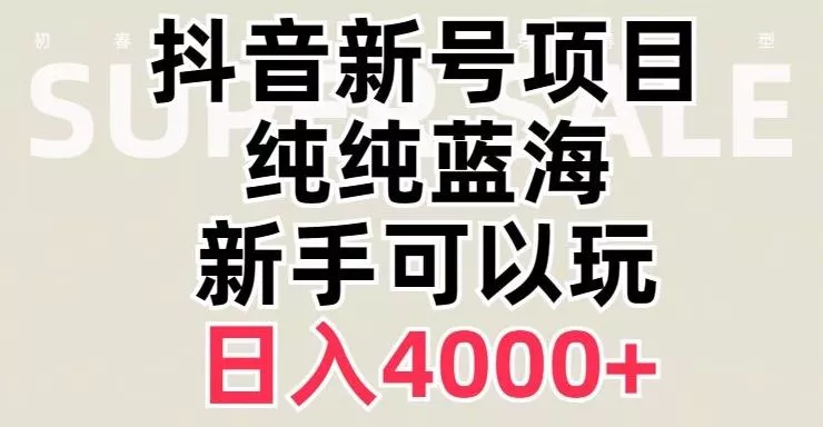 抖音蓝海赛道，必须是新账号，日入4000+【揭秘】-山河网创