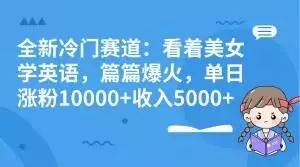 全新冷门赛道：看着美女学英语，篇篇爆火，单日涨粉10000+收入5000+-山河网创