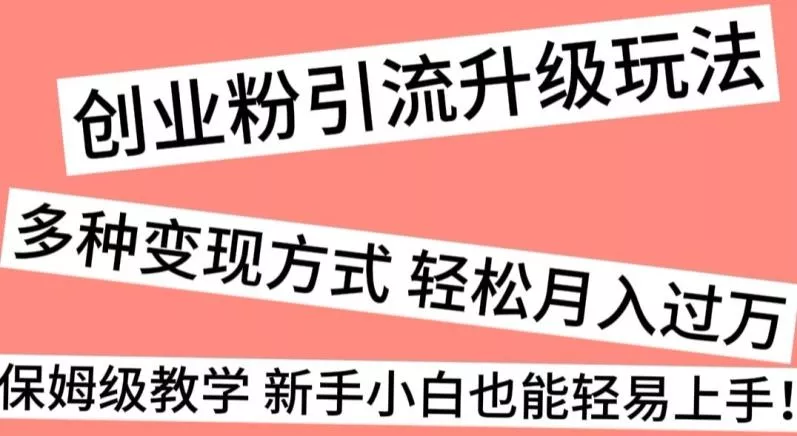 创业粉引流升级玩法，多种变现方式轻松月入过万，保姆级教学新手小白也能轻易上手！-山河网创