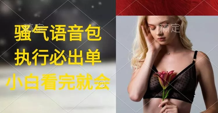 (9589期)执行就出单，日入2000+，超火骚气语音包，小白看完课程就能马上实操-山河网创