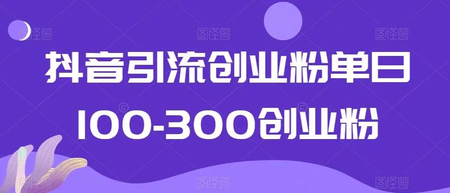 抖音引流创业粉单日100-300创业粉【揭秘】-山河网创