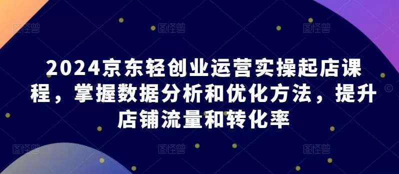 2024京东轻创业运营实操起店课程，掌握数据分析和优化方法，提升店铺流量和转化率-山河网创