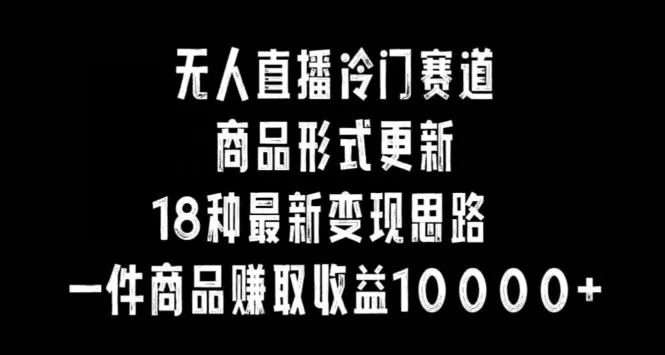 无人直播冷门赛道，商品形式更新，18种变现思路，一件商品赚取收益10000+【揭秘】-山河网创
