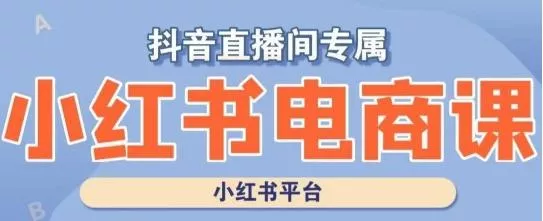 小红书电商高级运营课程，实操教学+案例分析-山河网创