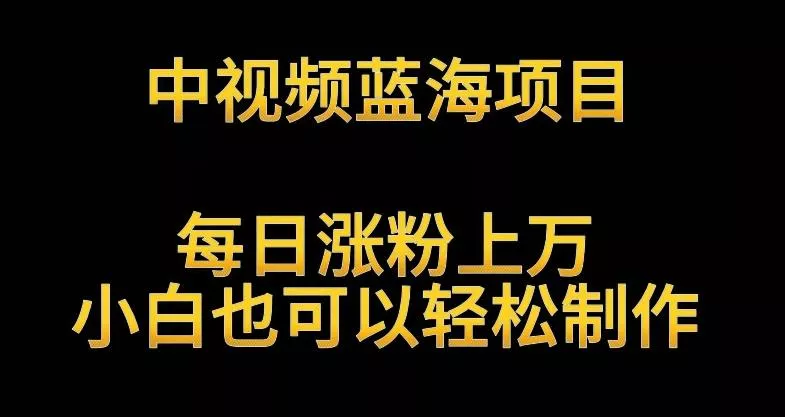 中视频蓝海项目，解读英雄人物生平，每日涨粉上万，小白也可以轻松制作，月入过万不是梦【揭秘】-山河网创