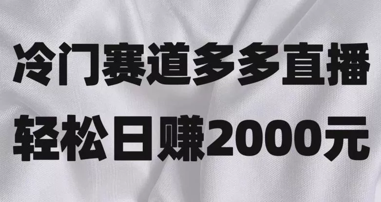冷门赛道拼多多直播，简单念稿子，日收益2000＋【揭秘】-山河网创