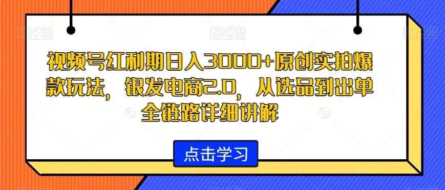 视频号红利期日入3000+原创实拍爆款玩法，银发电商2.0，从选品到出单全链路详细讲解【揭秘】-山河网创