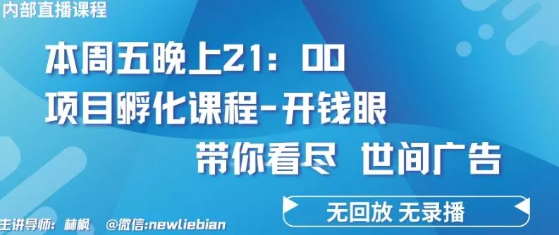 4.26日内部回放课程《项目孵化-开钱眼》赚钱的底层逻辑【揭秘】-山河网创