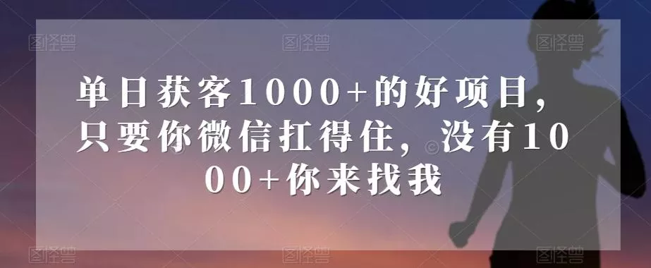 单日获客1000+的好项目，只要你微信扛得住，没有1000+你来找我【揭秘】-山河网创