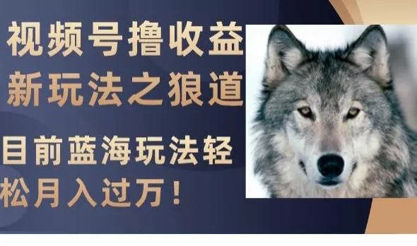 视频号撸收益新玩法之狼道，目前蓝海玩法，轻松月入过万【揭秘】-山河网创