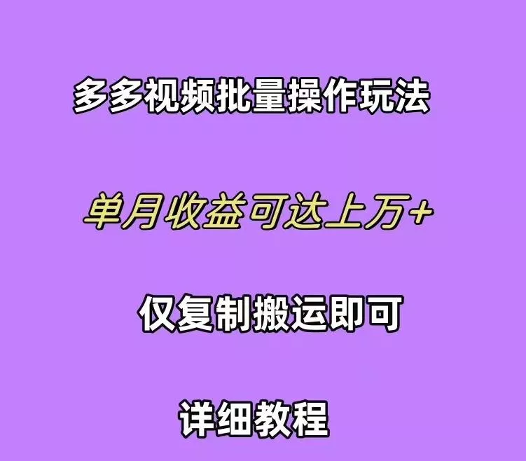 (10029期)拼多多视频带货快速过爆款选品教程 每天轻轻松松赚取三位数佣金 小白必…-山河网创