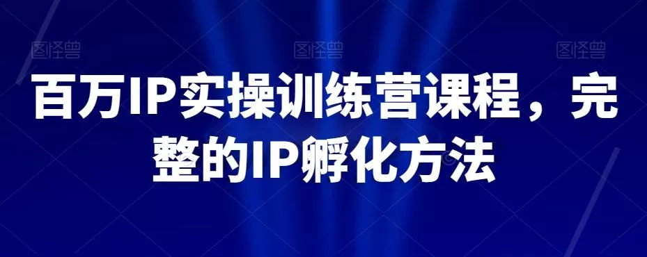 百万IP实操训练营课程，完整的IP孵化方法-山河网创