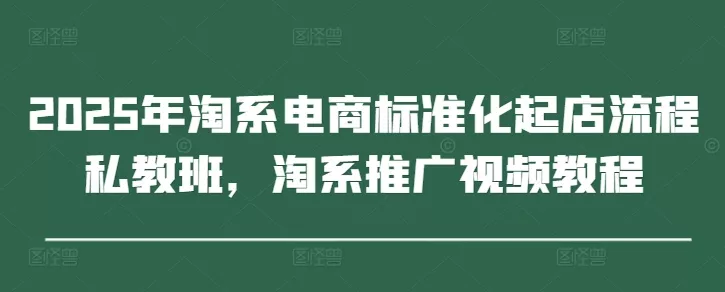2025年淘系电商标准化起店流程私教班，淘系推广视频教程-山河网创