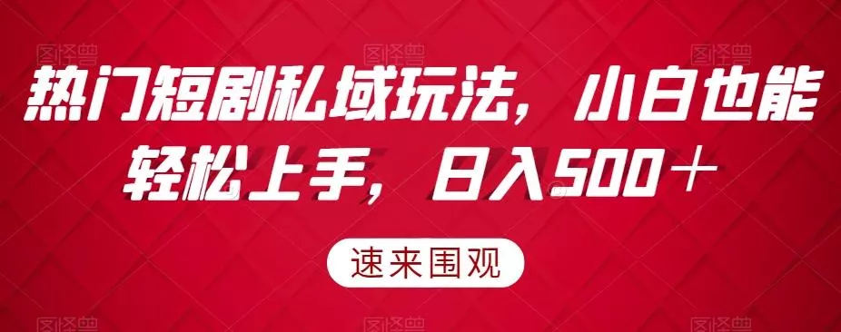热门短剧私域玩法，小白也能轻松上手，日入500＋-山河网创