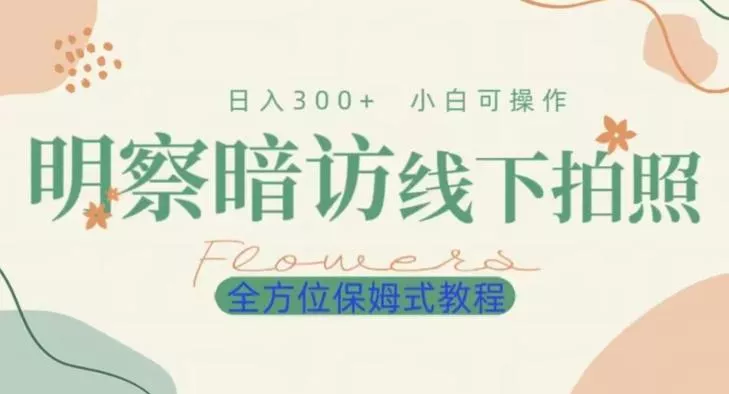 明拍暗拍项目0成本投入日入300+小白可操作保姆式全方位教程-山河网创