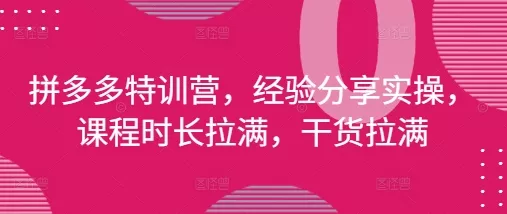 拼多多特训营，经验分享实操，课程时长拉满，干货拉满(更新25年4月)-山河网创