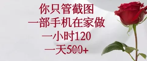 你只管截图，一部手机在家可以做，一小时120.一天5张+【揭秘】-山河网创