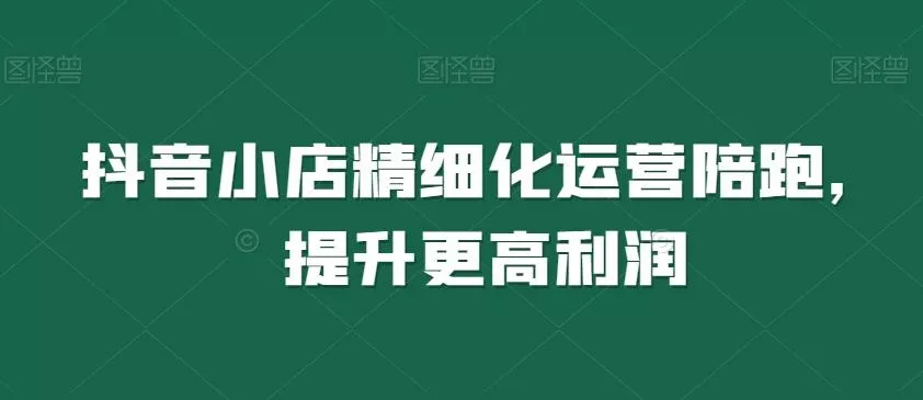 抖音小店精细化运营陪跑，提升更高利润-山河网创