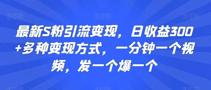 最新S粉引流变现，日收益300+多种变现方式，一分钟一个视频，发一个爆一个【揭秘】-山河网创
