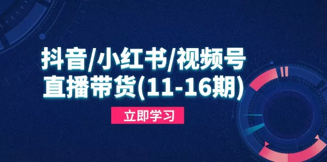 抖音/小红书/视频号/直播带货(11-16期-山河网创