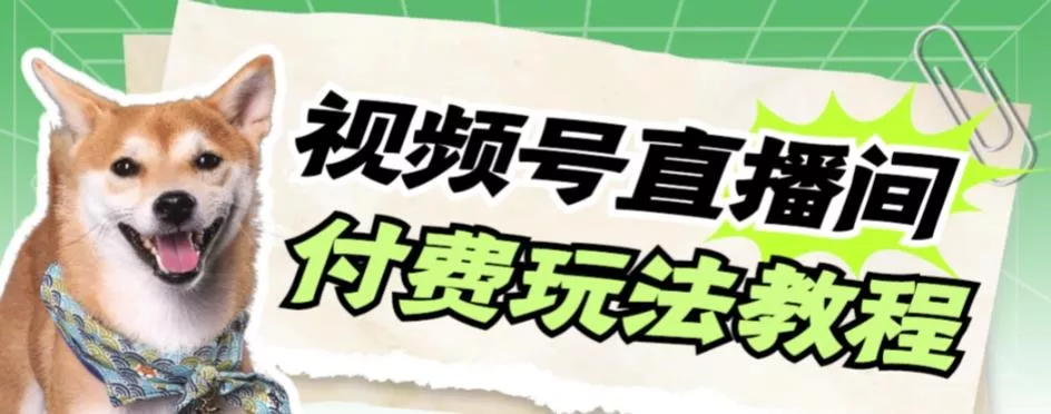 视频号美女付费无人直播，轻松日入500+【详细玩法教程】-山河网创