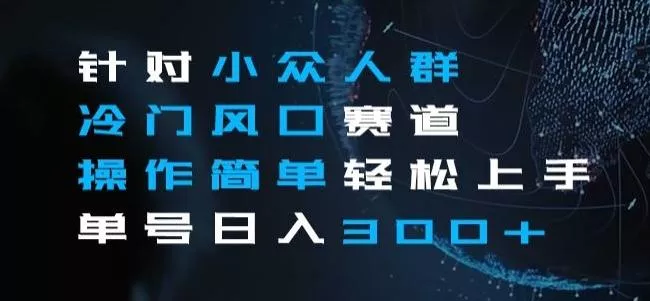 针对小众人群冷门风口赛道，操作简单轻松上手单号日入300+-山河网创