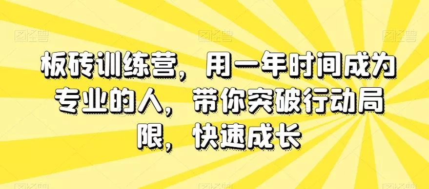 板砖训练营，用一年时间成为专业的人，带你突破行动局限，快速成长-山河网创
