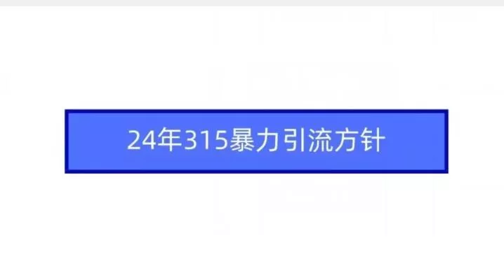 24年315暴力引流方针-山河网创