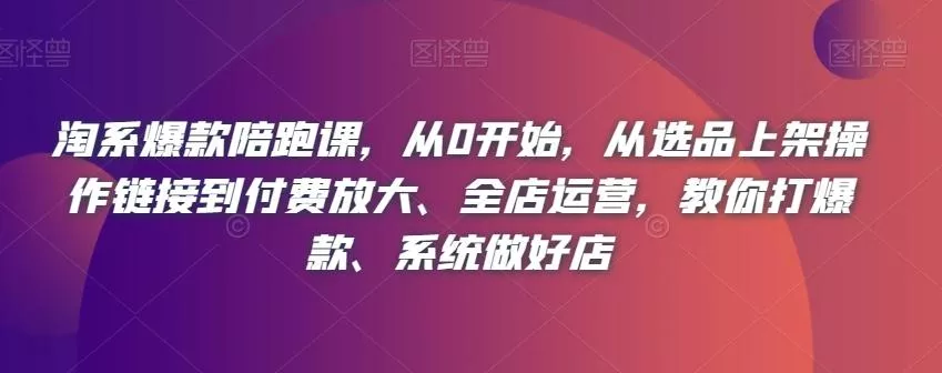 淘系爆款陪跑课，从0开始，从选品上架操作链接到付费放大、全店运营，教你打爆款、系统做好店-山河网创