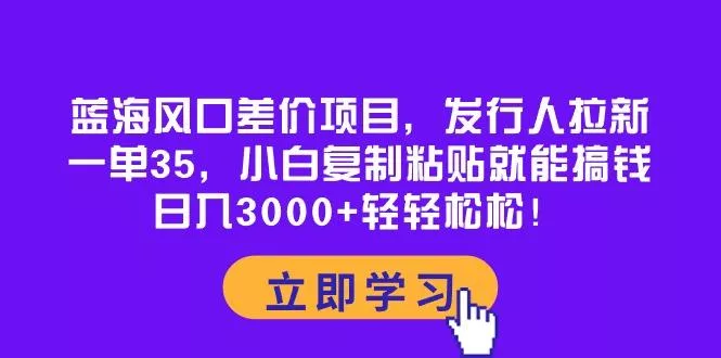 蓝海风口差价项目，发行人拉新，一单35，小白复制粘贴就能搞钱！日入30…-山河网创