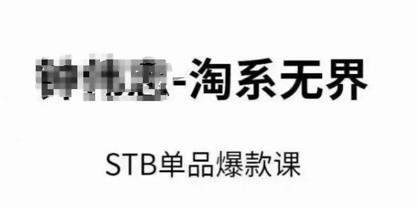 淘系无界STB单品爆款课(2024)，付费带动免费的核心逻辑，万相台无界关键词推广/精准人群的核心-山河网创