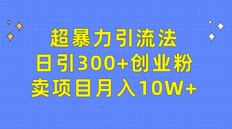 (9954期)超暴力引流法，日引300+创业粉，卖项目月入10W+-山河网创