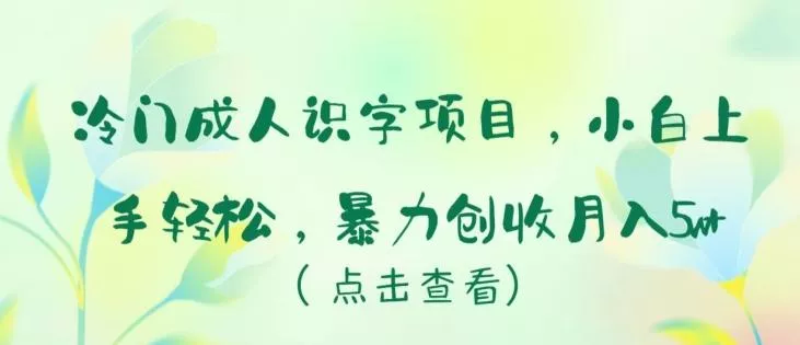 冷门成人识字项目，小白上手轻松，暴力创收月入5w+【揭秘】-山河网创
