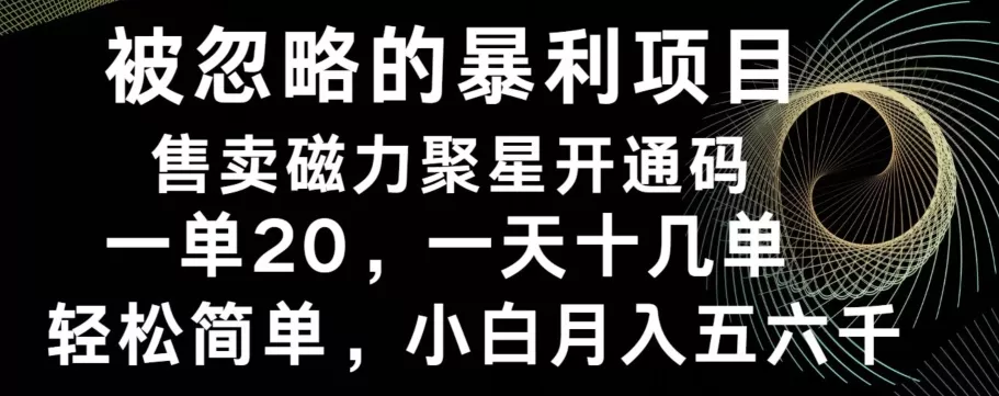 被忽略的暴利项目！售卖磁力聚星开通码，一单20，一天十几单，轻松月入五六千-山河网创