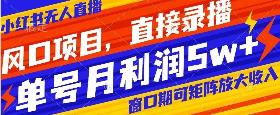 风口项目，小红书无人直播带货，直接录播，可矩阵，月入5w+【揭秘】-山河网创