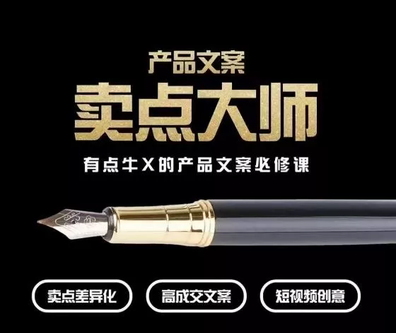 产品文案【卖点大师】高转化电商，有点牛X的产品文案必修课-山河网创
